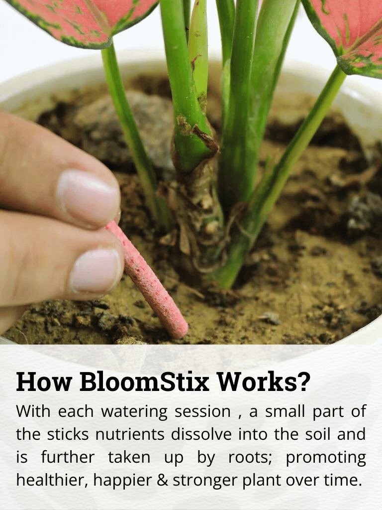 Bloomstix + Growth Boost Combo for Monsoon Garden