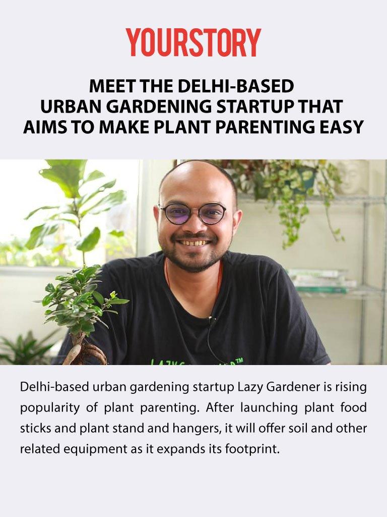 Combo Pack Plant food sticks LazyGardener