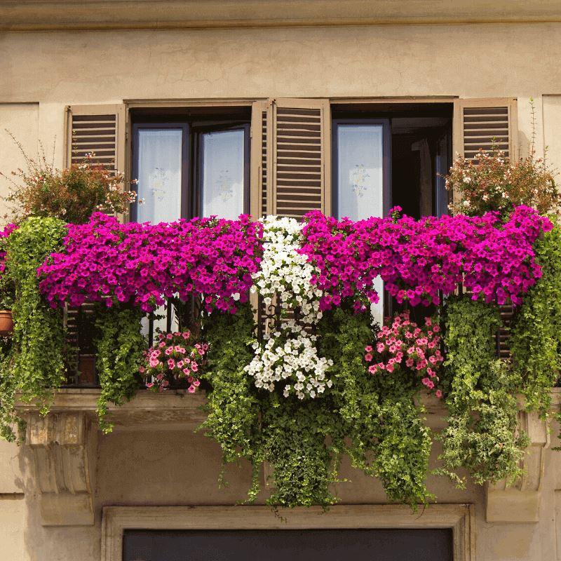 How to style small space Balcony Garden | Easy Decoration Inspiration