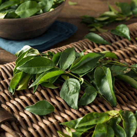 Start your own Culinary Herb kitchen Garden