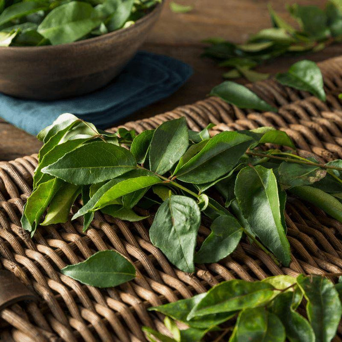 Start your own Culinary Herb kitchen Garden