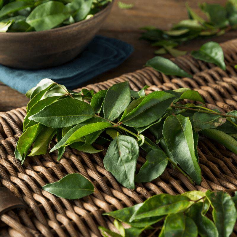 Start your own Culinary Herb kitchen Garden