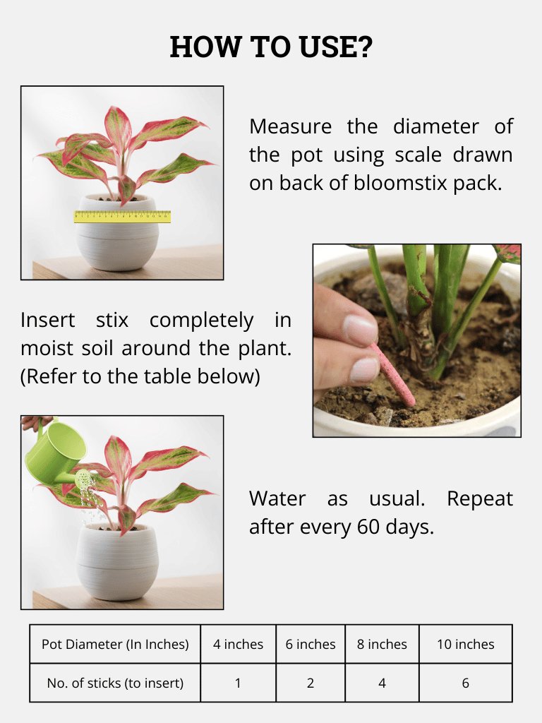 plant stick fertilizer Bloom Stick For Plants