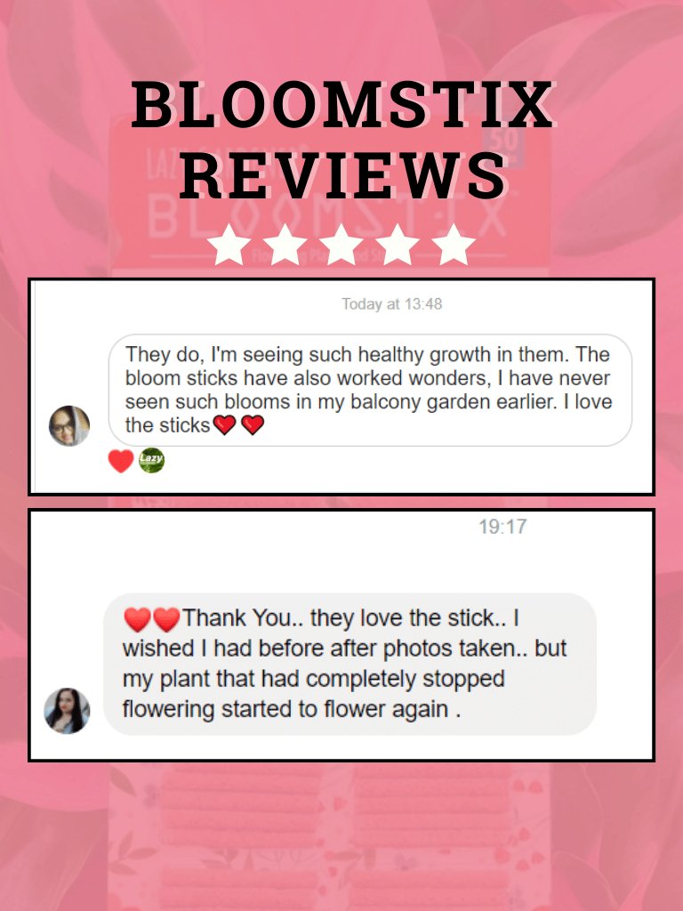 Bloomstix - Flowering Plant Food Sticks (Fertilizer Sticks)