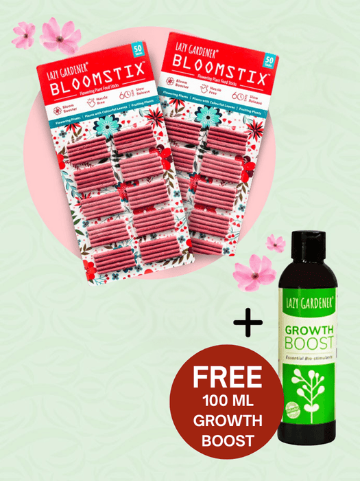 Get 100 BloomStix - Get Growth Boost(100ML) Free