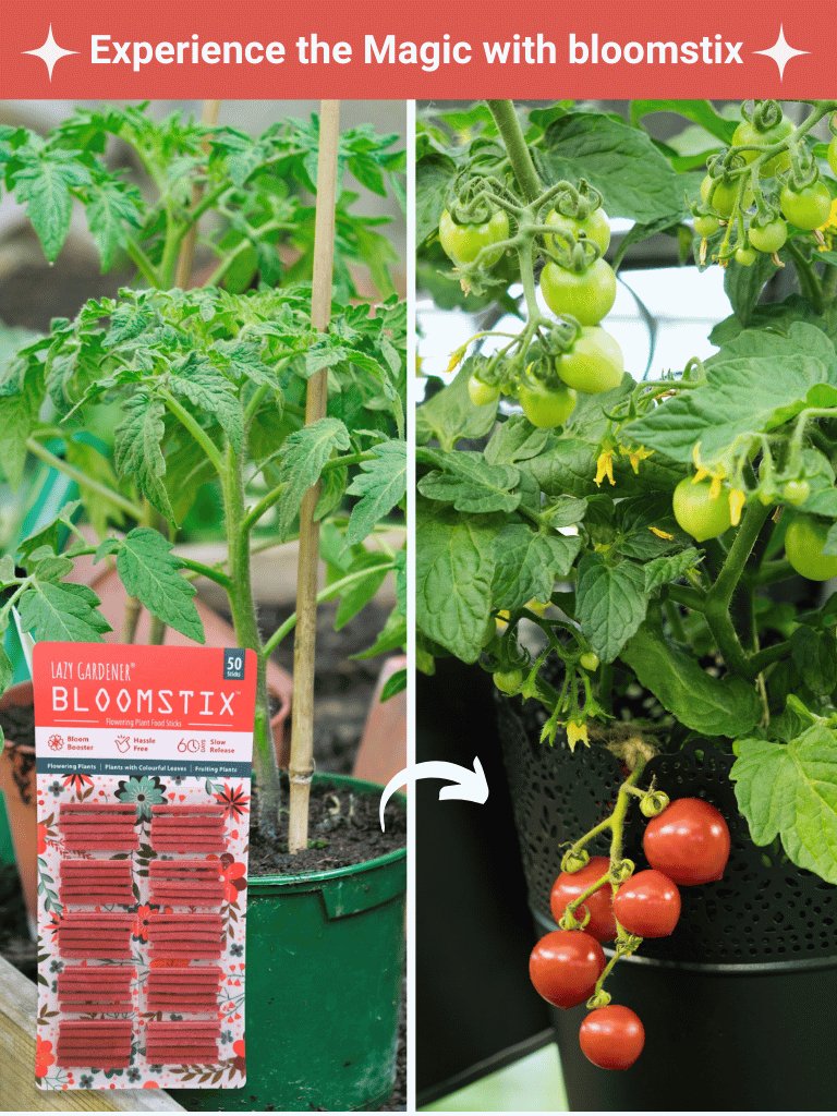 Bloomstix - Flowering Plant Food Sticks (Fertilizer Sticks)
