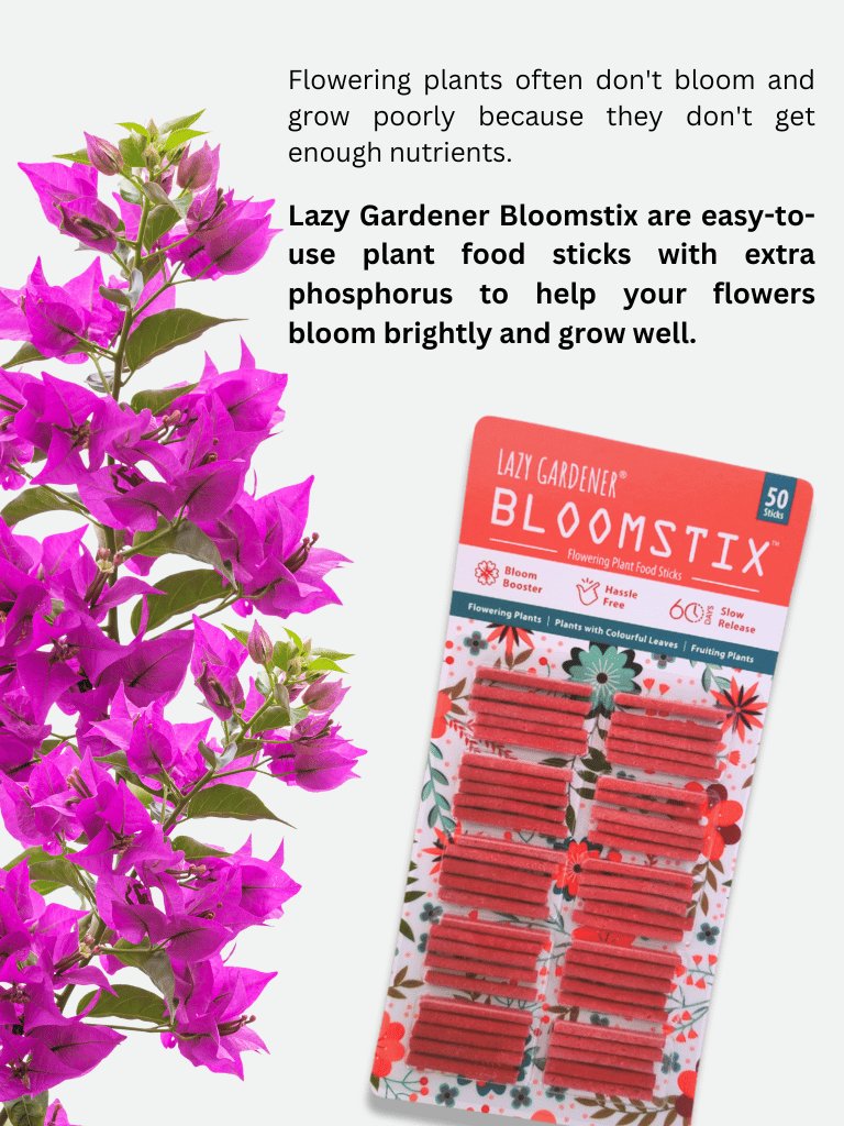 flowering plant fertilizer spikes Fertilizer Sticks For Plants | Plant Nutrition Sticks | Greenstix+Bloomstix – Lazy Gardener