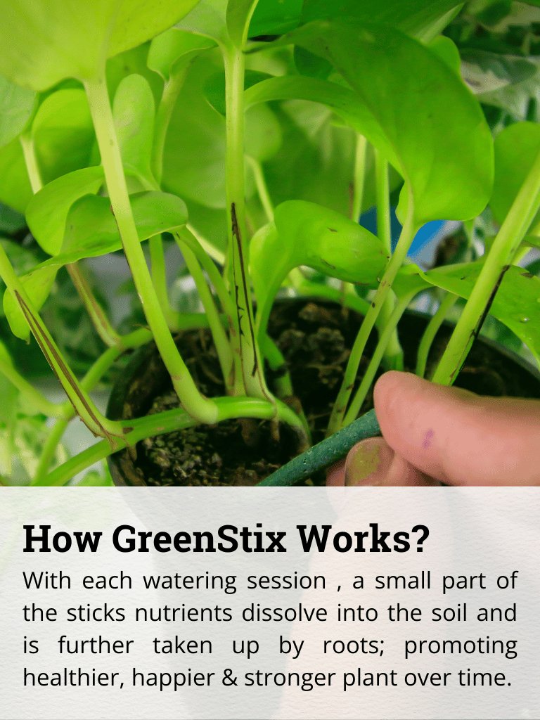 fertilizer plant sticks GreenStix Fertilizer Sticks For Plants | Green Stick For Plants – Lazy Gardener