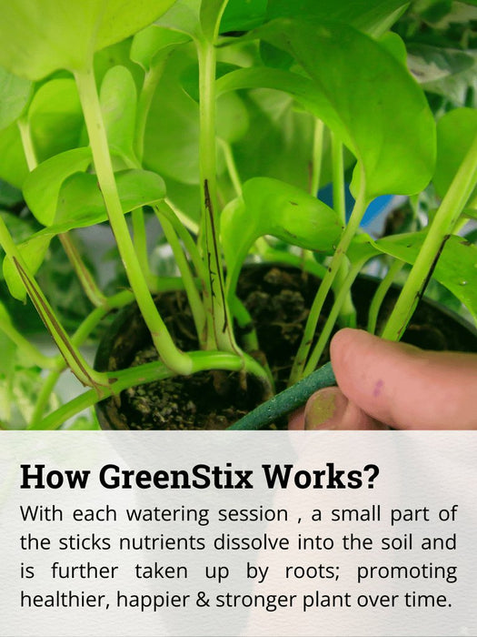 Greenstix how it works.png__PID:990b73fb-c876-4b1e-b2ff-9bf9f83ec260