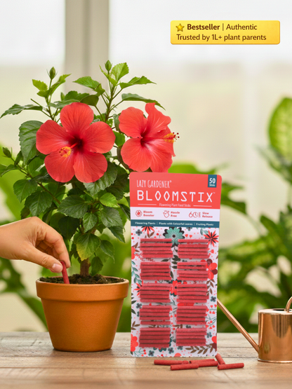 Bloomstix - Flowering Plant Food Sticks (Fertilizer Sticks)