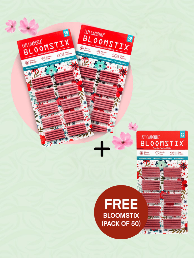 Buy 100 BloomStix -  Get 50 BloomStix Free