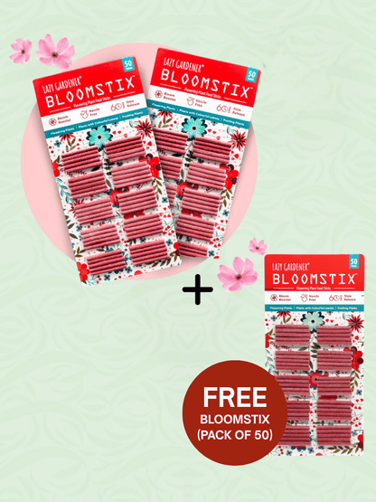 Buy 100 BloomStix -  Get 50 BloomStix Free