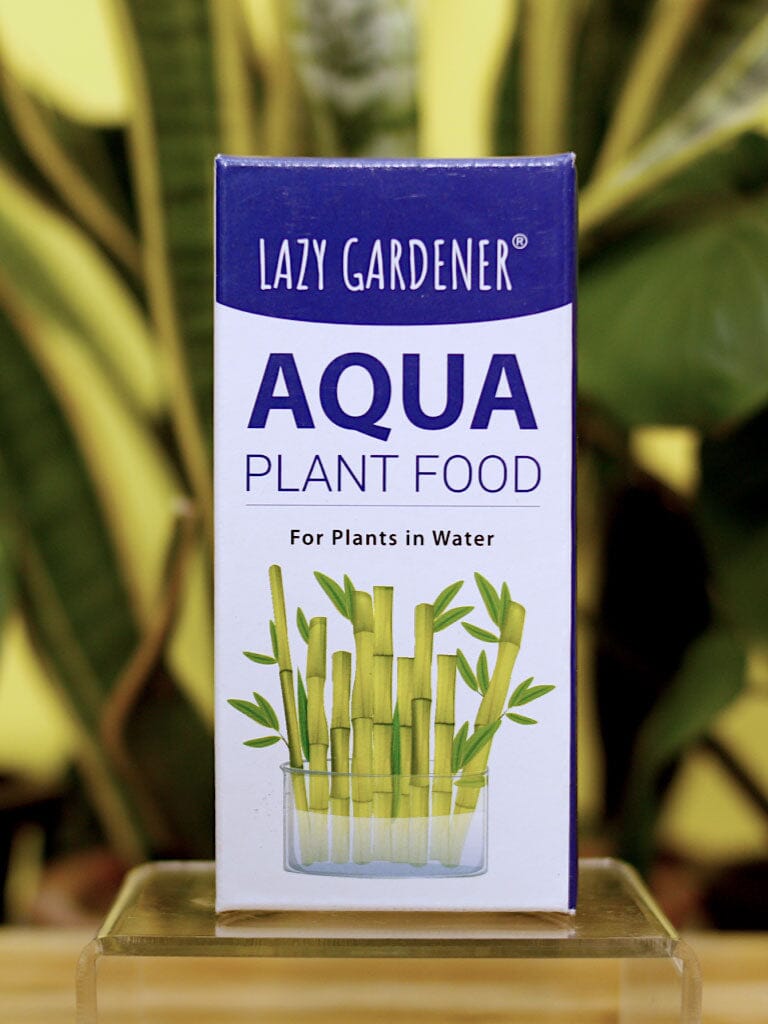 Aqua Plant Food - Fertilizer for Lucky Bamboo and Money Plant Growing in  Water – Lazy Gardener