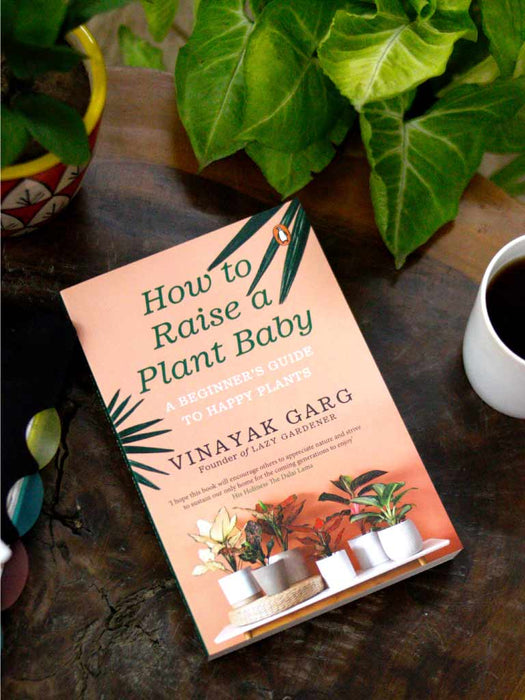Book: How to Raise a Plant Baby LazyGardener 