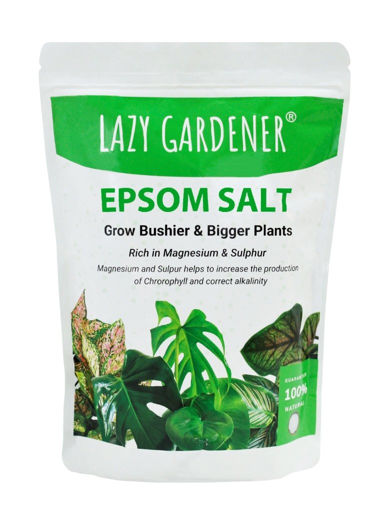 epsom salt as a plant fertilizer Epsom Salt for Plants: Fertilizer, Benefits, and How to Use