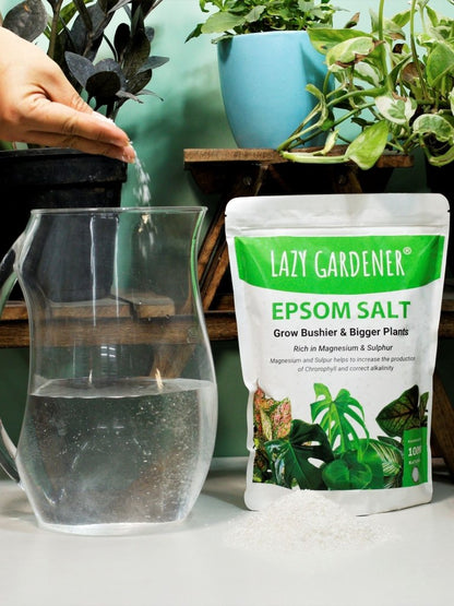 epsom salt as fertilizer for plants Epsom Salt for Plants: Fertilizer, Benefits, and How to Use