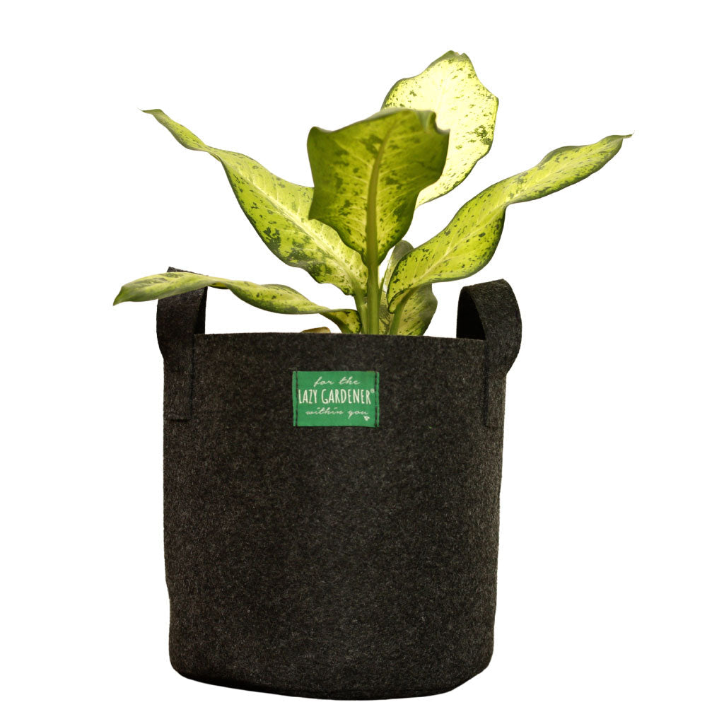 Fabric Grow Bags for Plants LazyGardener 