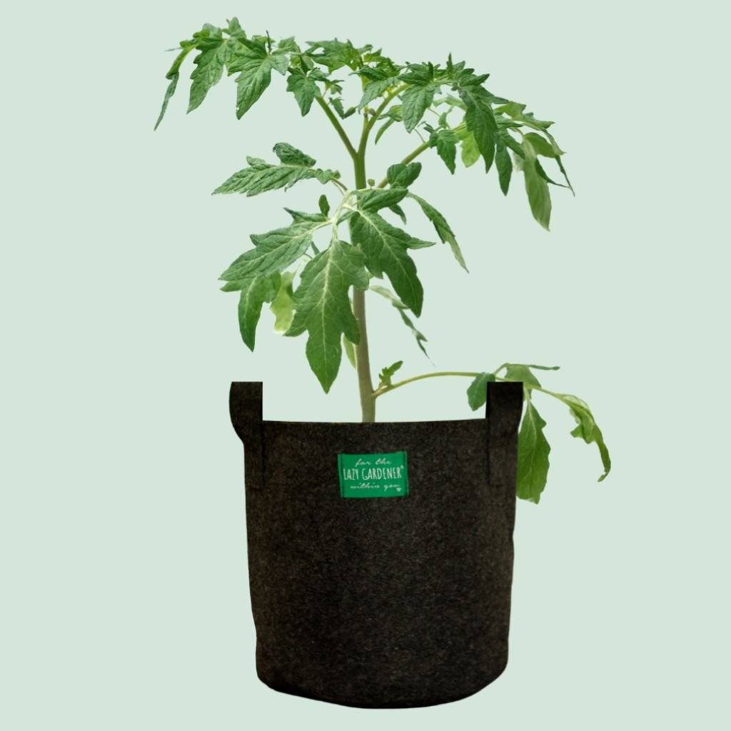 Fabric Grow Bags for Plants LazyGardener 