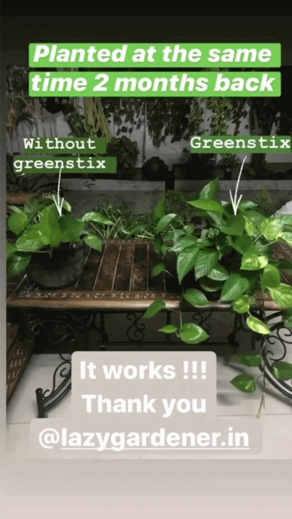 GreenHome Jr Pack (100 GreenStix) Plant food sticks LazyGardener 