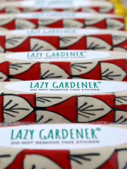 Magnetic Hydroponic Planter (Set of 3) Magnetic Hydroponic Planter LazyGardener 