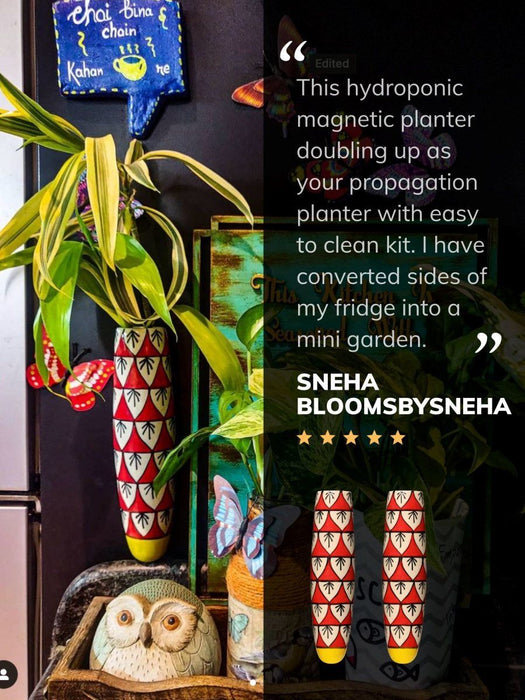 Magnetic Hydroponic Planters Magnetic Hydroponic Planter LazyGardener 