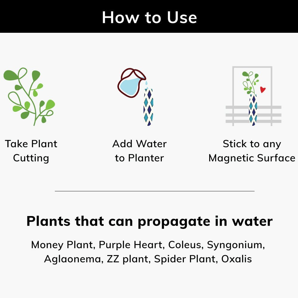 Magnetic Planters - Diamond - Set of 1