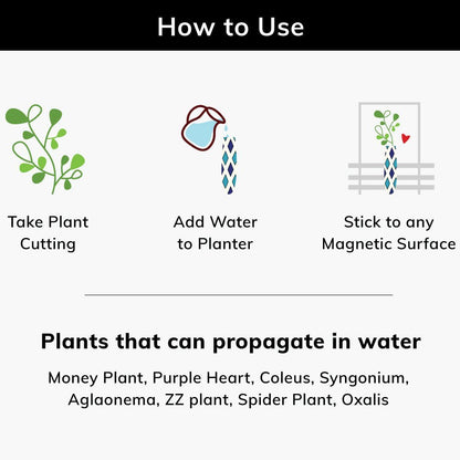 Magnetic Planters - Diamond - Set of 1