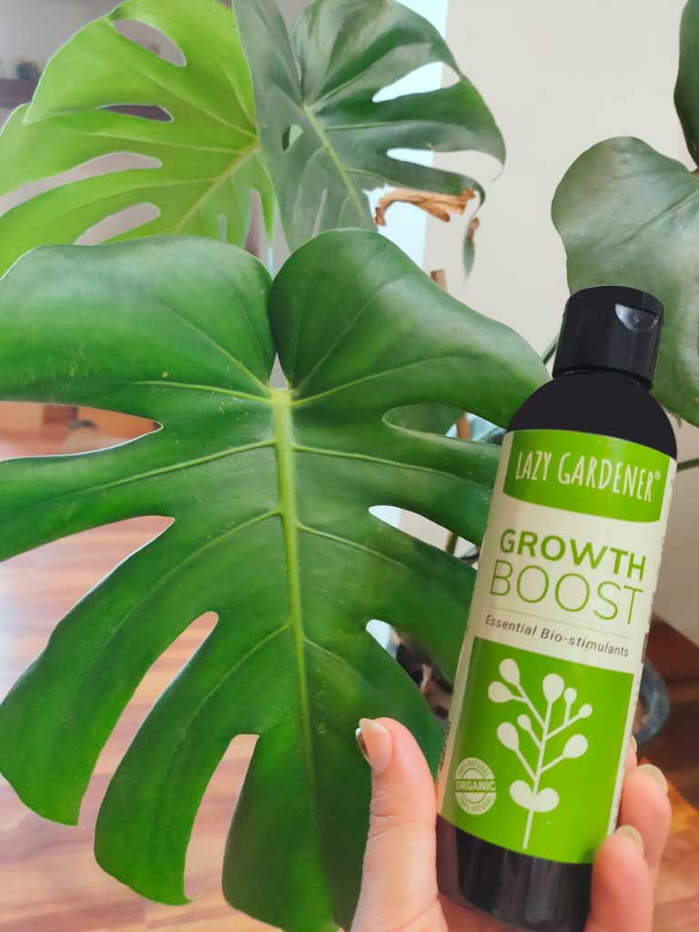 Plant Care Kit (3 in 1 Specialized Liquids Kit) Liquid Plant Fertilizers LazyGardener 