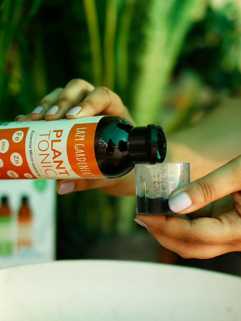 Plant Care Kit (3 in 1 Specialized Liquids Kit) Liquid Plant Fertilizers LazyGardener 