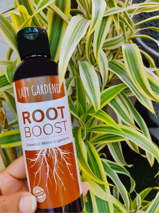 Plant Care Kit (3 in 1 Specialized Liquids Kit) Liquid Plant Fertilizers LazyGardener 