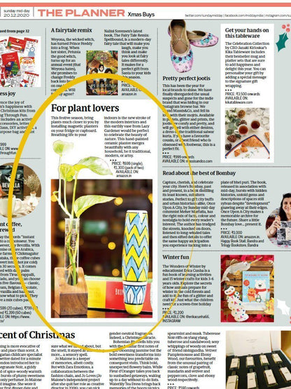 Timber Grove Solo (Table Top) Wooden single test tube planter LazyGardener 