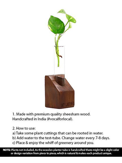 Timber Grove Solo (Table Top) Wooden single test tube planter LazyGardener 
